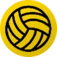 Volejbal